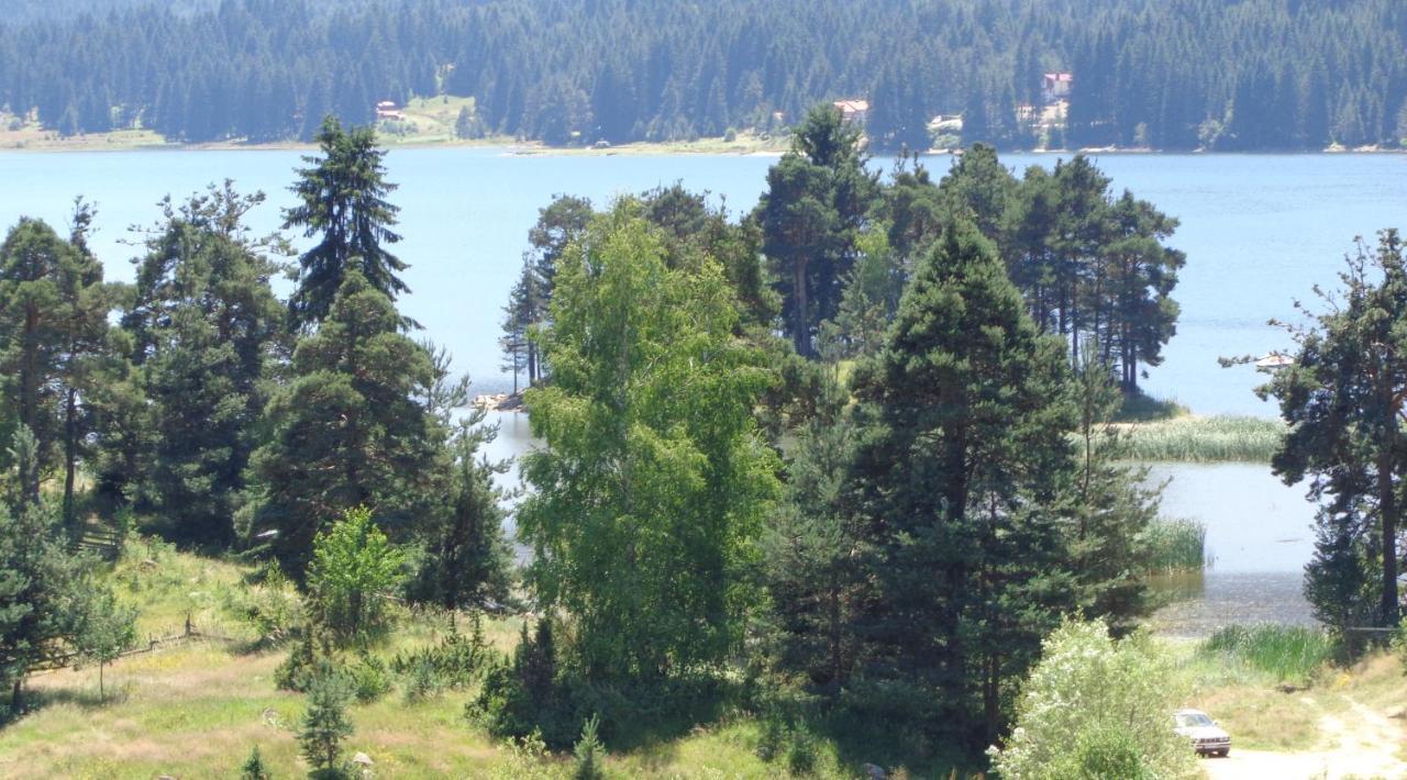 Family Hotel Panorama Sarnitsa Bagian luar foto