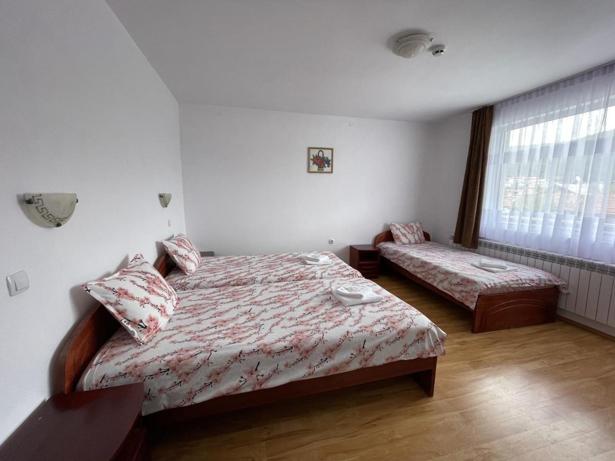 Family Hotel Panorama Sarnitsa Bagian luar foto