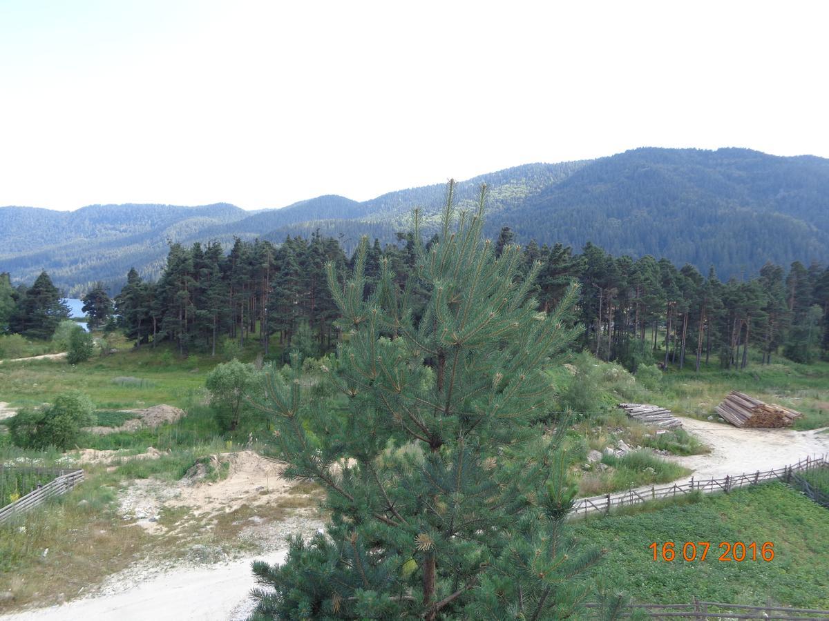 Family Hotel Panorama Sarnitsa Bagian luar foto